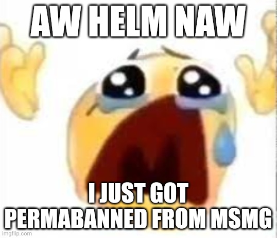 Crying emoji | AW HELM NAW; I JUST GOT PERMABANNED FROM MSMG | image tagged in crying emoji | made w/ Imgflip meme maker