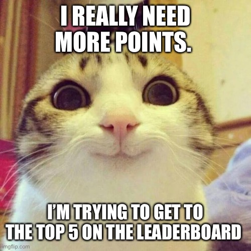 Smiling Cat Meme | I REALLY NEED MORE POINTS. I’M TRYING TO GET TO THE TOP 5 ON THE LEADERBOARD | image tagged in memes,smiling cat | made w/ Imgflip meme maker
