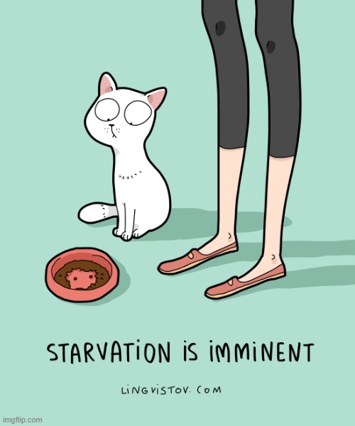 A Cat's Way Of Thinking | image tagged in memes,comics/cartoons,cats,dishes,starvation,oh my god okeay it's happenning everybody stay calm | made w/ Imgflip meme maker