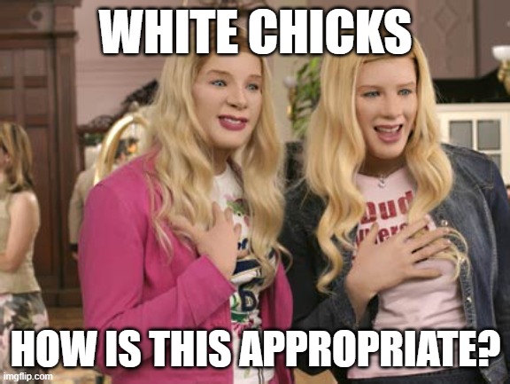 How is this appropriate? | WHITE CHICKS; HOW IS THIS APPROPRIATE? | image tagged in white chicks,racist,offensive,double standards,protest,priveledged | made w/ Imgflip meme maker