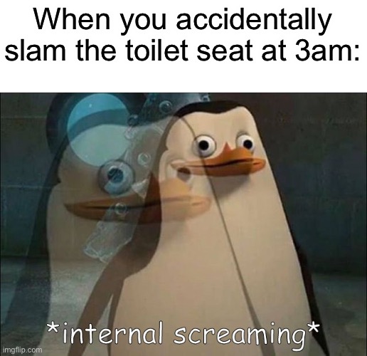 Oh frick | When you accidentally slam the toilet seat at 3am: | image tagged in private internal screaming,memes,funny,relatable,toilet seat | made w/ Imgflip meme maker