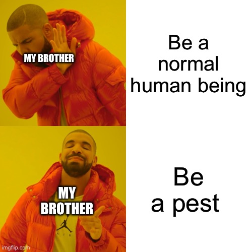 Drake Hotline Bling | Be a normal human being; MY BROTHER; Be a pest; MY BROTHER | image tagged in memes,drake hotline bling | made w/ Imgflip meme maker