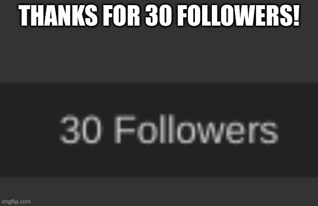 ty | THANKS FOR 30 FOLLOWERS! | image tagged in memes | made w/ Imgflip meme maker
