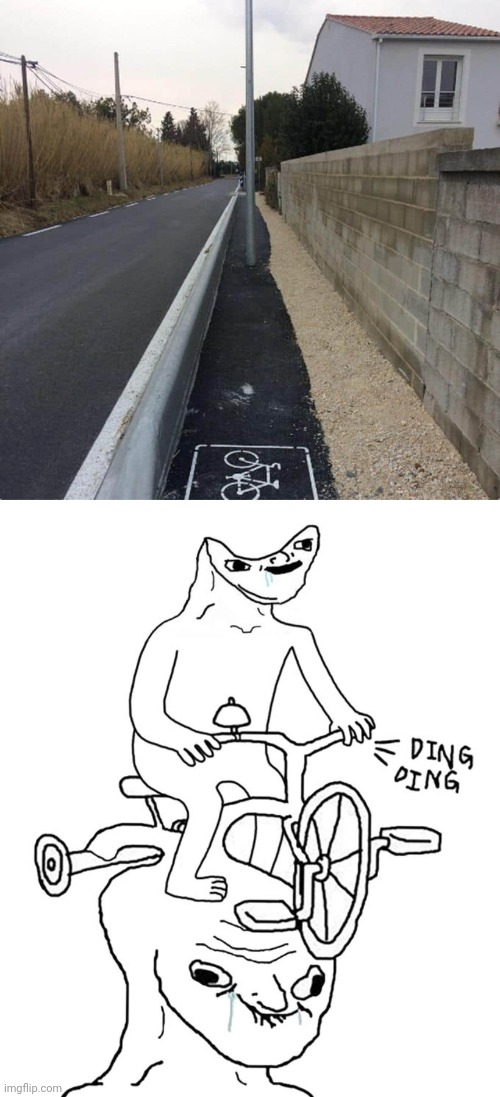 Pole in the way | image tagged in double brainlet bike,bike,you had one job,memes,pole,bike lane | made w/ Imgflip meme maker