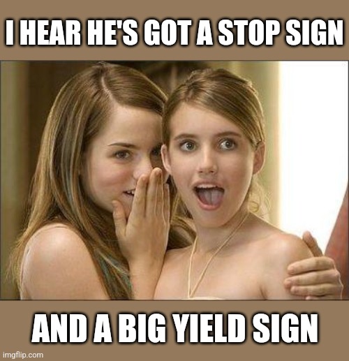 Girls gossiping | I HEAR HE'S GOT A STOP SIGN AND A BIG YIELD SIGN | image tagged in girls gossiping | made w/ Imgflip meme maker