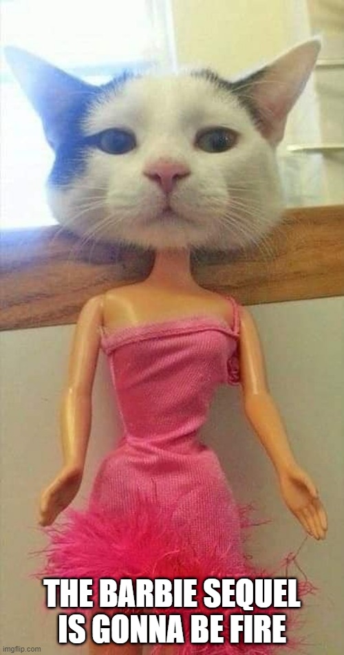 Meowbie | THE BARBIE SEQUEL IS GONNA BE FIRE | image tagged in funny cats | made w/ Imgflip meme maker