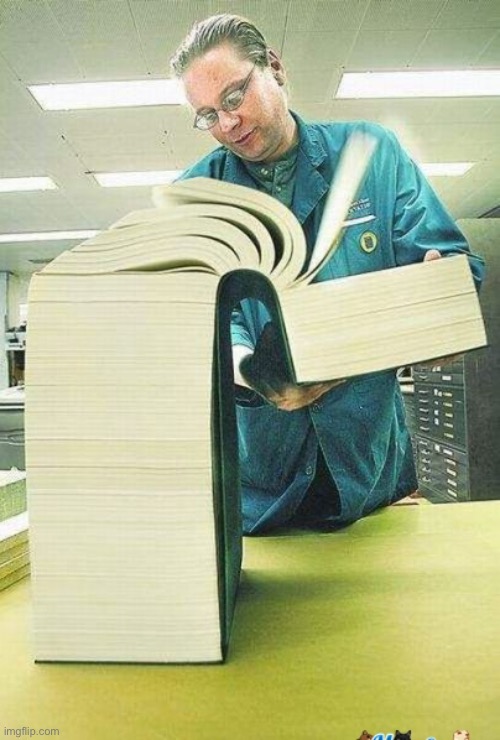 long book  | image tagged in long book | made w/ Imgflip meme maker