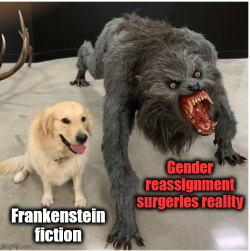And on children too! | Gender
reassignment
surgeries reality; Frankenstein
fiction | image tagged in dog wolf,frankenstein,gender reassignment surgery,transgender,democrats,joe biden | made w/ Imgflip meme maker