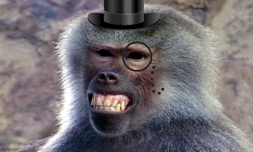 Baboon | image tagged in baboon | made w/ Imgflip meme maker