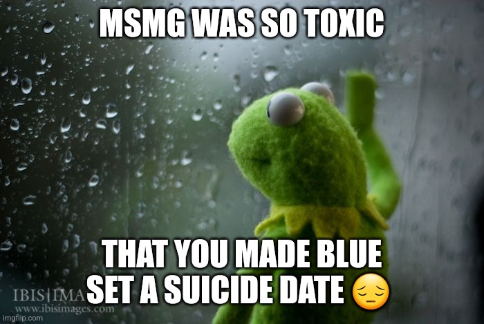 kermit window | MSMG WAS SO TOXIC; THAT YOU MADE BLUE SET A SUICIDE DATE 😔 | image tagged in kermit window | made w/ Imgflip meme maker
