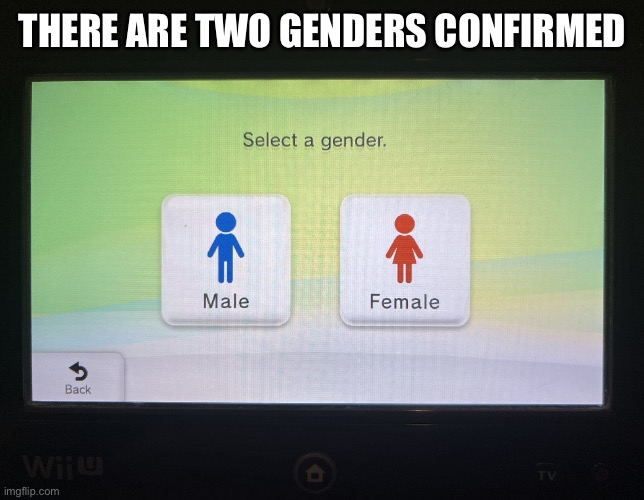 There are 2 genders confirmed | THERE ARE TWO GENDERS CONFIRMED | image tagged in there are 2 genders confirmed | made w/ Imgflip meme maker