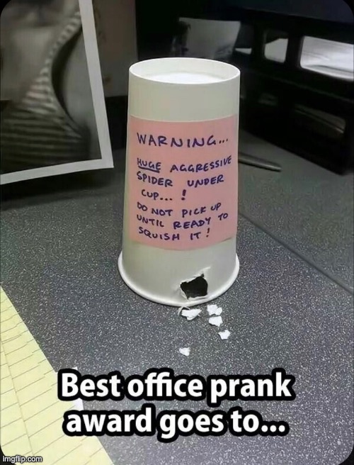 I need this lol | image tagged in spider,prank,funny,office,coworkers | made w/ Imgflip meme maker