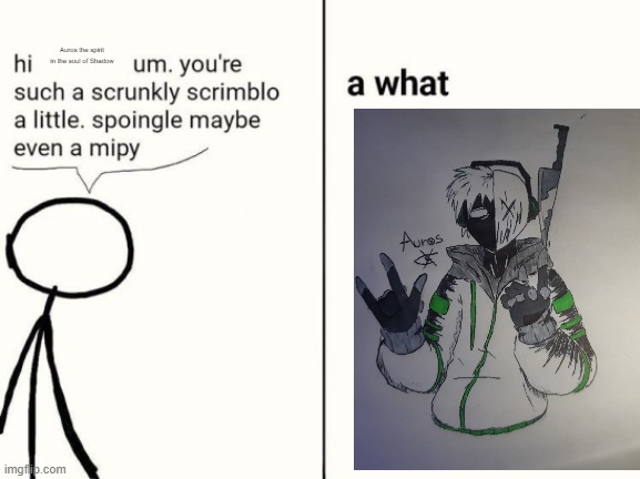 scrunkly scrimblo | Auros the spirit in the soul of Shadow | image tagged in scrunkly scrimblo | made w/ Imgflip meme maker