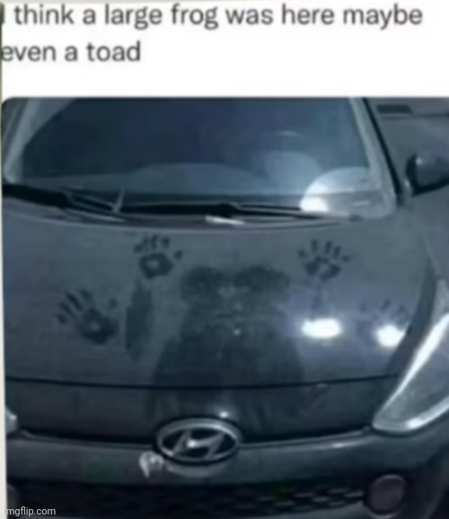 Up vote of you see it | image tagged in frog | made w/ Imgflip meme maker