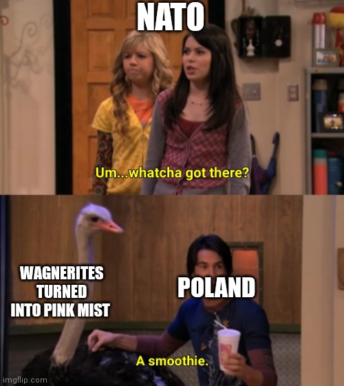 Whatcha Got There? | NATO; WAGNERITES TURNED INTO PINK MIST; POLAND | image tagged in whatcha got there | made w/ Imgflip meme maker