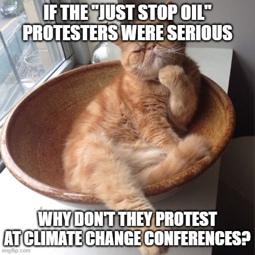 Wondering cat | IF THE "JUST STOP OIL" PROTESTERS WERE SERIOUS WHY DON'T THEY PROTEST AT CLIMATE CHANGE CONFERENCES? | image tagged in wondering cat | made w/ Imgflip meme maker