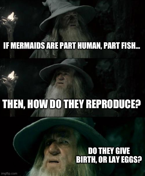 Ummmmmm…. | IF MERMAIDS ARE PART HUMAN, PART FISH…; THEN, HOW DO THEY REPRODUCE? DO THEY GIVE BIRTH, OR LAY EGGS? | image tagged in memes,confused gandalf,shower thoughts,mermaid,birth,ummm | made w/ Imgflip meme maker