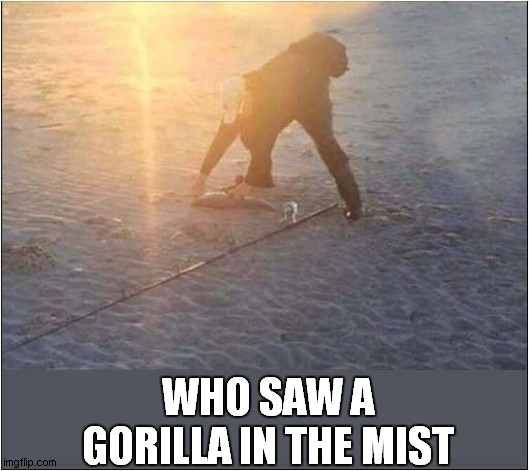 At First Glance ... | WHO SAW A GORILLA IN THE MIST | image tagged in optical illusion,gorilla,fisherman | made w/ Imgflip meme maker