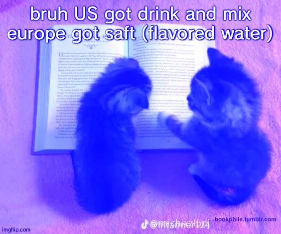 Your life is mine | bruh US got drink and mix europe got saft (flavored water) | image tagged in your life is mine | made w/ Imgflip meme maker