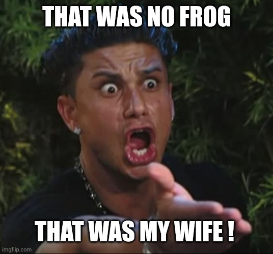 situation | THAT WAS NO FROG THAT WAS MY WIFE ! | image tagged in situation | made w/ Imgflip meme maker