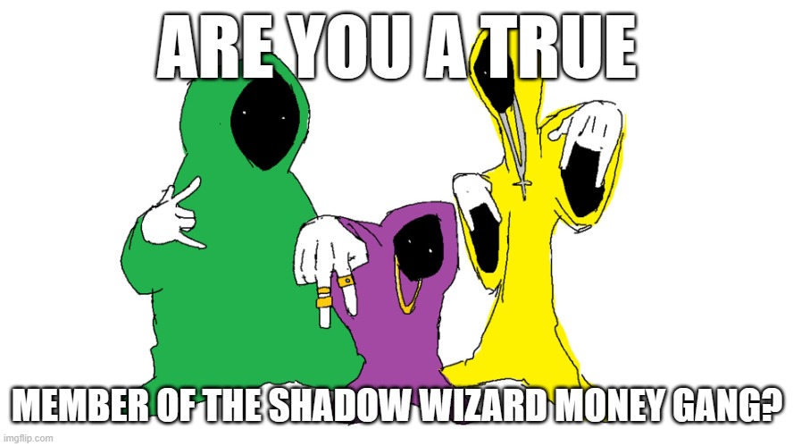 We Love Casting Spells | ARE YOU A TRUE; MEMBER OF THE SHADOW WIZARD MONEY GANG? | image tagged in shadow wizard money gang | made w/ Imgflip meme maker
