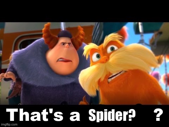 That’s a blank | Spider? | image tagged in that s a blank | made w/ Imgflip meme maker