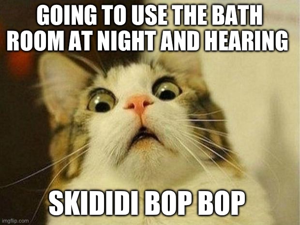 Scared Cat Meme | GOING TO USE THE BATH ROOM AT NIGHT AND HEARING; SKIDIDI BOP BOP | image tagged in memes,scared cat | made w/ Imgflip meme maker