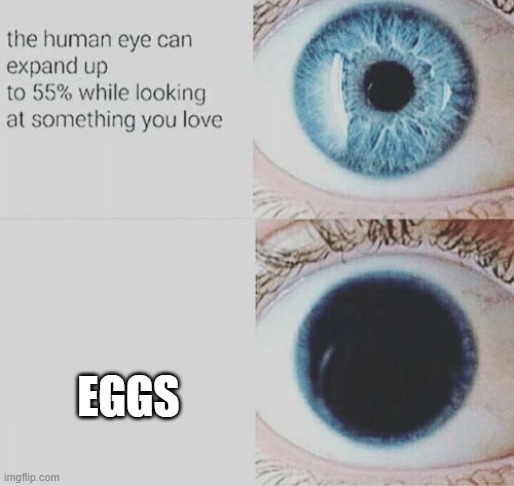 SUNDAY | EGGS | image tagged in eye pupil expand | made w/ Imgflip meme maker