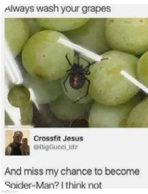 this is why you DONT ever wash your grapes | image tagged in spiderman,grapes,food,funny texts,comments,posts | made w/ Imgflip meme maker