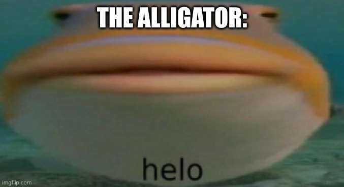 helo | THE ALLIGATOR: | image tagged in helo | made w/ Imgflip meme maker