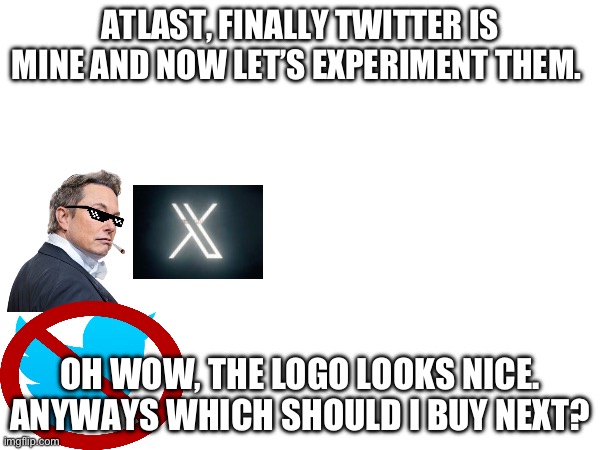 Rip twitter bird | ATLAST, FINALLY TWITTER IS MINE AND NOW LET’S EXPERIMENT THEM. OH WOW, THE LOGO LOOKS NICE. ANYWAYS WHICH SHOULD I BUY NEXT? | image tagged in memes,elon musk,twitter,elon musk buying twitter,funny | made w/ Imgflip meme maker