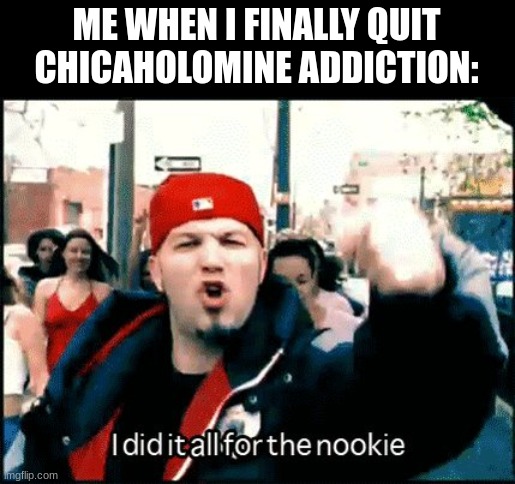 i did it all for the nookie | ME WHEN I FINALLY QUIT CHICAHOLOMINE ADDICTION: | image tagged in i did it all for the nookie | made w/ Imgflip meme maker