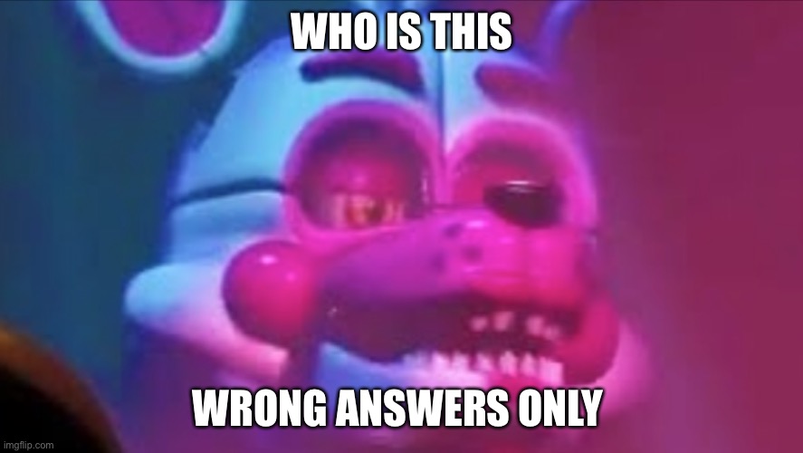 Funtime foxy | WHO IS THIS; WRONG ANSWERS ONLY | image tagged in funtime foxy | made w/ Imgflip meme maker