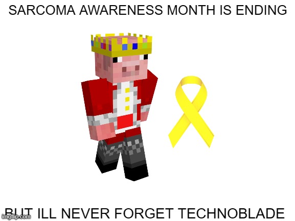 Blank White Template | SARCOMA AWARENESS MONTH IS ENDING; BUT ILL NEVER FORGET TECHNOBLADE | image tagged in blank white template,technoblade never dies,sarcoma awareness | made w/ Imgflip meme maker