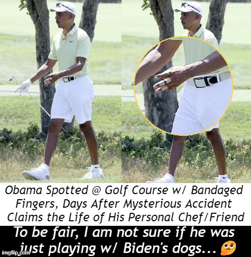 Curious people want to know | Obama Spotted @ Golf Course w/ Bandaged 
Fingers, Days After Mysterious Accident 
Claims the Life of His Personal Chef/Friend; To be fair, I am not sure if he was  
just playing w/ Biden's dogs...🤔 | image tagged in politics,barack obama,accident,joe biden dogs,we will never know,could be caught on video but libs will still call it debunked | made w/ Imgflip meme maker