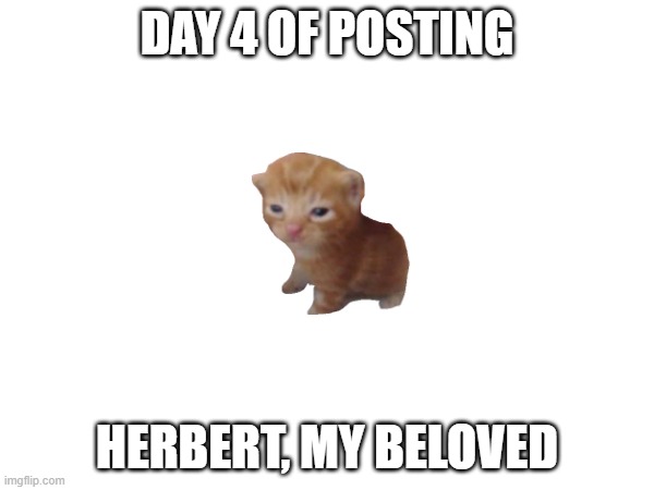 herbert, my beloved | DAY 4 OF POSTING; HERBERT, MY BELOVED | image tagged in herbert | made w/ Imgflip meme maker
