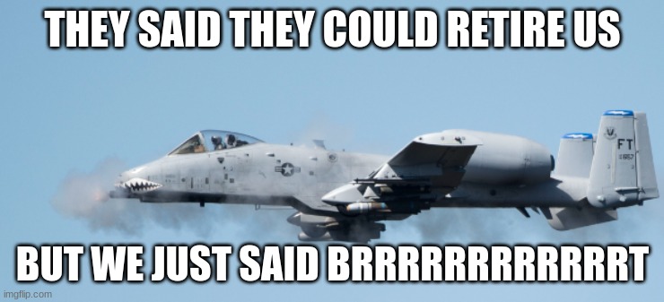 HEHE 30MM GO BRRRRRRRRRRRRRRRRRRRRRRRRRRRRRRT | THEY SAID THEY COULD RETIRE US; BUT WE JUST SAID BRRRRRRRRRRRRT | image tagged in air force,brrrrrrrrrt,a-10 warthog,air force tries to retire the a-10 | made w/ Imgflip meme maker