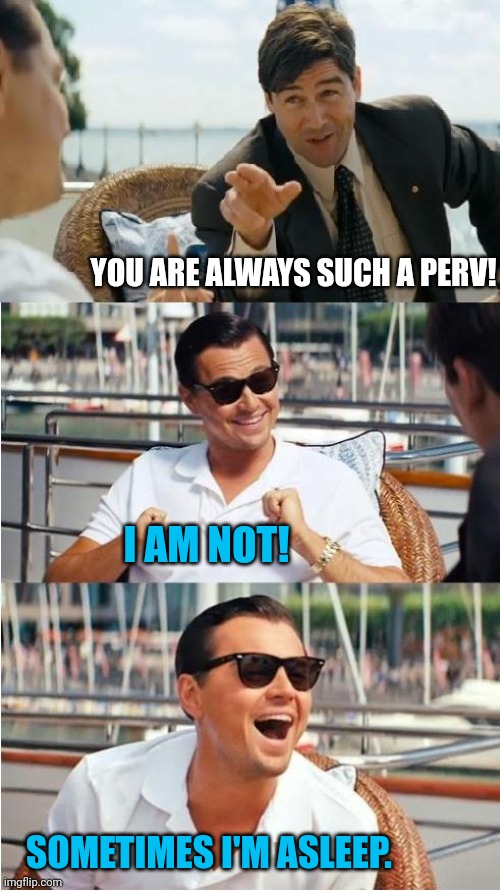 Me in a nutshell | YOU ARE ALWAYS SUCH A PERV! I AM NOT! SOMETIMES I'M ASLEEP. | image tagged in leonardo dicaprio wolf of wall street v2,memes,fun | made w/ Imgflip meme maker