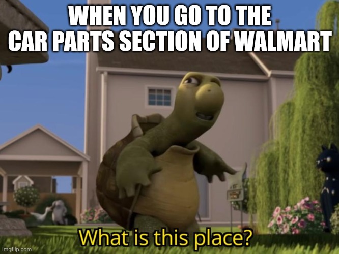 Made in Walmart | WHEN YOU GO TO THE CAR PARTS SECTION OF WALMART | image tagged in what is this place | made w/ Imgflip meme maker