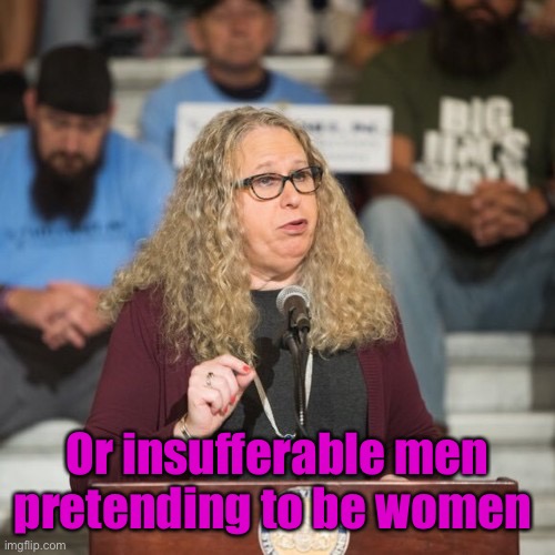 Rachel Levine | Or insufferable men pretending to be women | image tagged in rachel levine | made w/ Imgflip meme maker