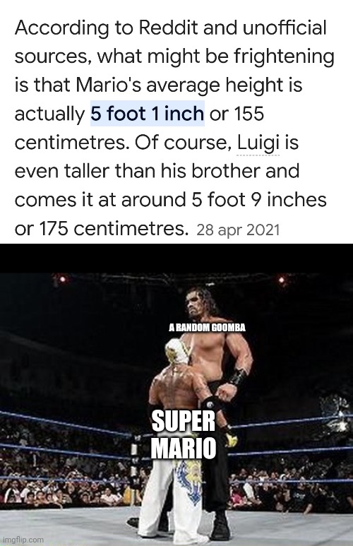 Tall vs short | SUPER MARIO A RANDOM GOOMBA | image tagged in tall vs short | made w/ Imgflip meme maker