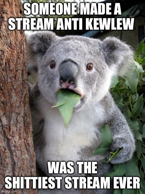 Surprised Koala Meme | SOMEONE MADE A STREAM ANTI KEWLEW; WAS THE SHITTIEST STREAM EVER | image tagged in memes,surprised koala | made w/ Imgflip meme maker