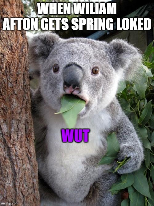 wilaim | WHEN WILIAM AFTON GETS SPRING LOKED; WUT | image tagged in memes,surprised koala,fuuny | made w/ Imgflip meme maker