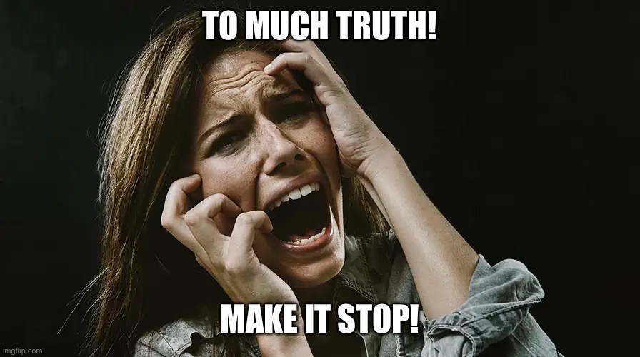 TO MUCH TRUTH! MAKE IT STOP! | made w/ Imgflip meme maker