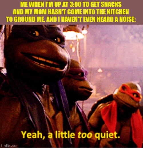 Yeah,A Little To Quiet | ME WHEN I'M UP AT 3:00 TO GET SNACKS AND MY MOM HASN'T COME INTO THE KITCHEN TO GROUND ME, AND I HAVEN'T EVEN HEARD A NOISE: | image tagged in yeah a little to quiet | made w/ Imgflip meme maker