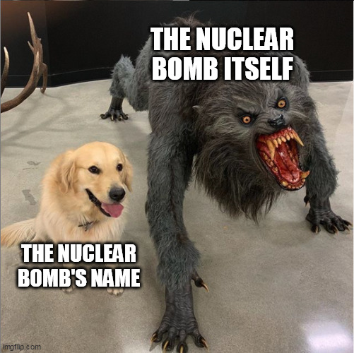theres one nuclear bomb named "little boy" it is goofy ahh name lmao | THE NUCLEAR BOMB ITSELF; THE NUCLEAR BOMB'S NAME | image tagged in dog vs werewolf | made w/ Imgflip meme maker