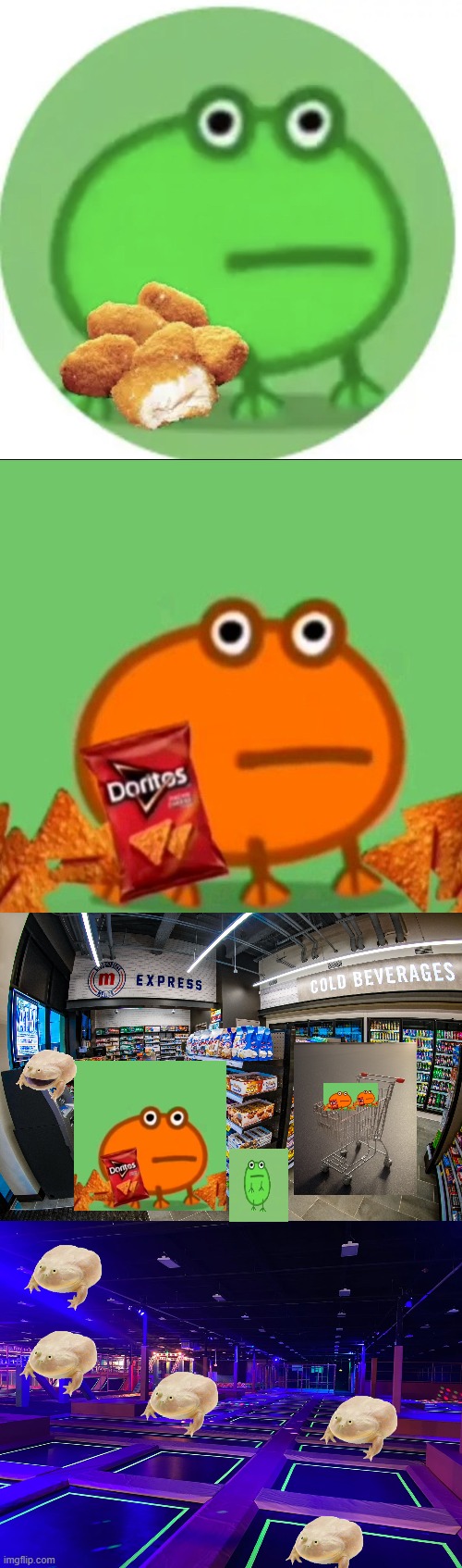 image tagged in chicken nugget frog,doritos frog,the froogos favorite store,funz trampoline park | made w/ Imgflip meme maker