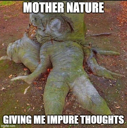 Mother Nature Giving Me Impure Thoughts | MOTHER NATURE; GIVING ME IMPURE THOUGHTS | image tagged in funny,mother,nature,nsfw,tree,slut | made w/ Imgflip meme maker
