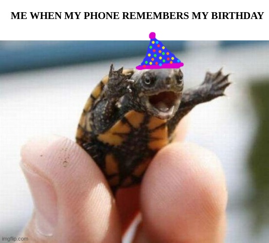 ye | ME WHEN MY PHONE REMEMBERS MY BIRTHDAY | image tagged in happy baby turtle | made w/ Imgflip meme maker
