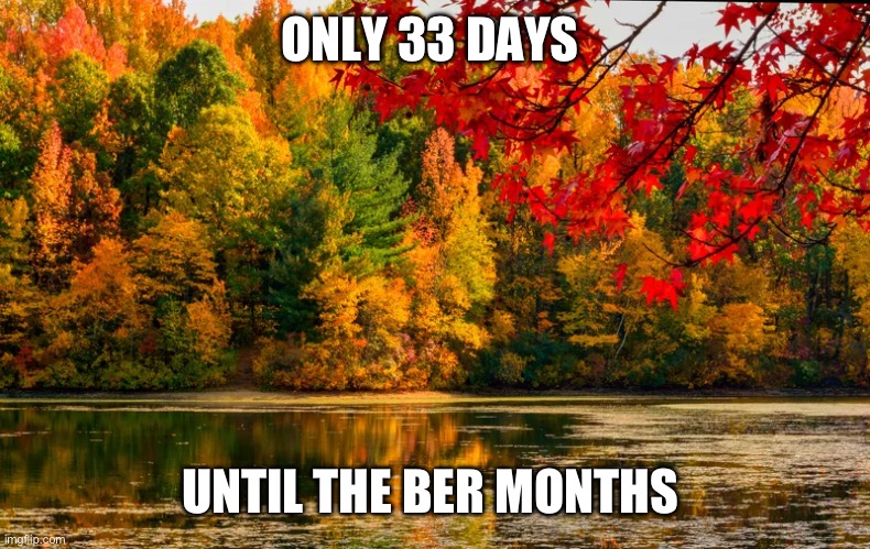 Only 33 days until the Ber months | ONLY 33 DAYS; UNTIL THE BER MONTHS | image tagged in autumn | made w/ Imgflip meme maker
